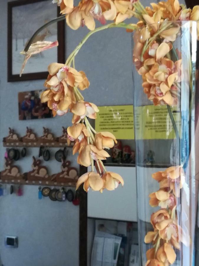 La Lepre 2* Chioggia