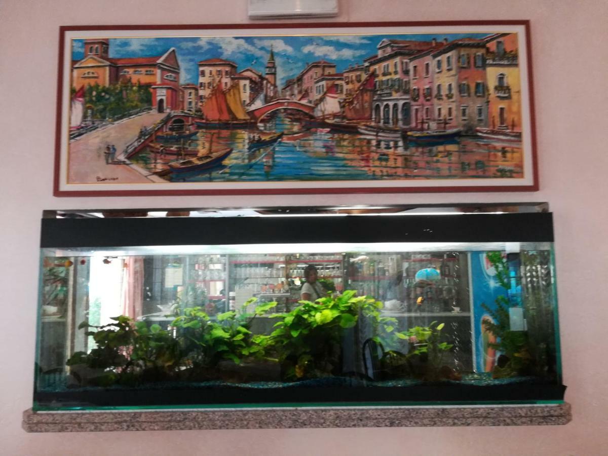 La Lepre Chioggia